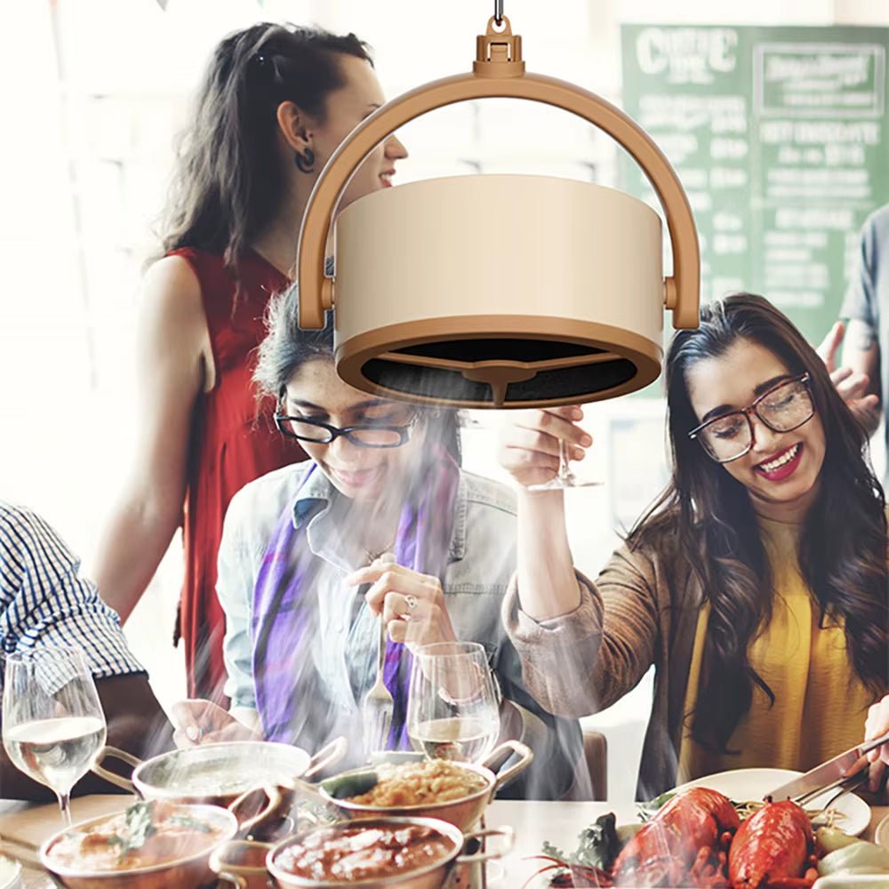 Clear the Air Instantly Cook Freely Without the Smoke Portable Power for a Cleaner Kitchen - Stan's Electronics
